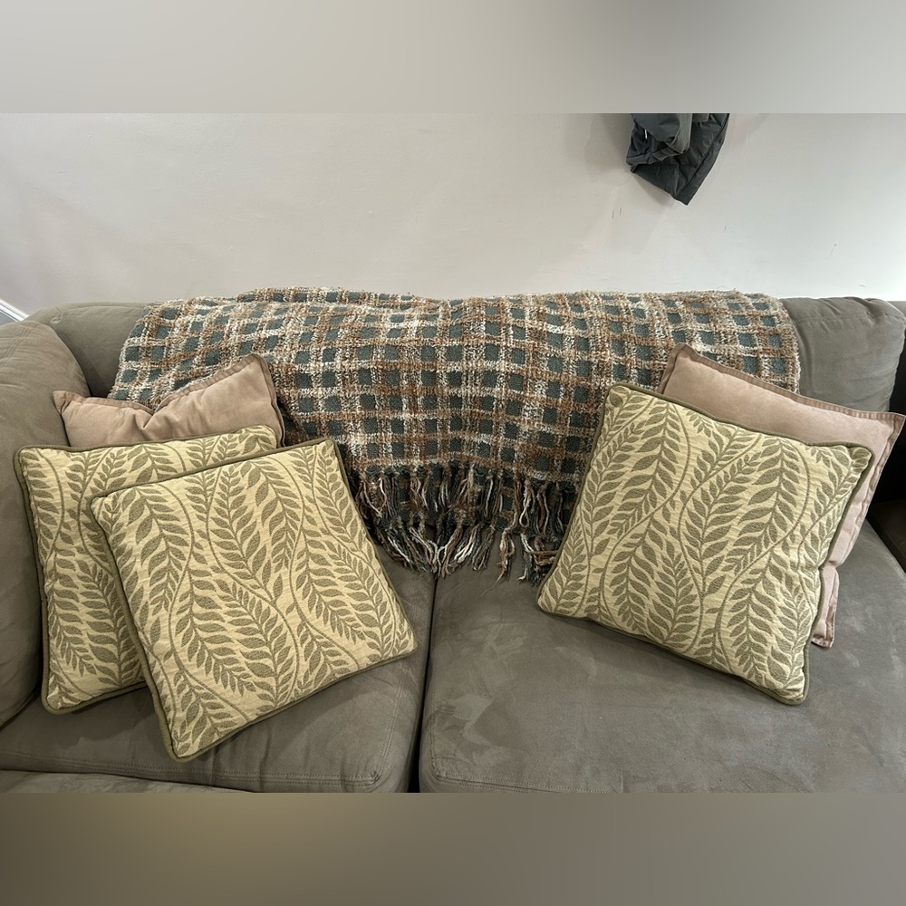 Pillows and Throw Blanket